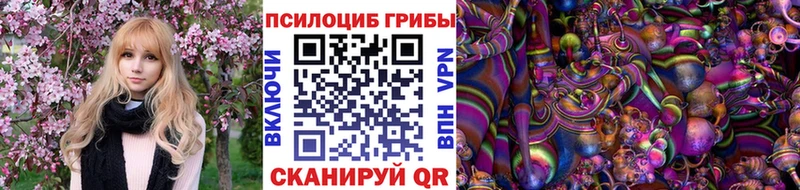 магазин продажи наркотиков  даркнет официальный сайт  Галлюциногенные грибы Psilocybe  Красный Кут 